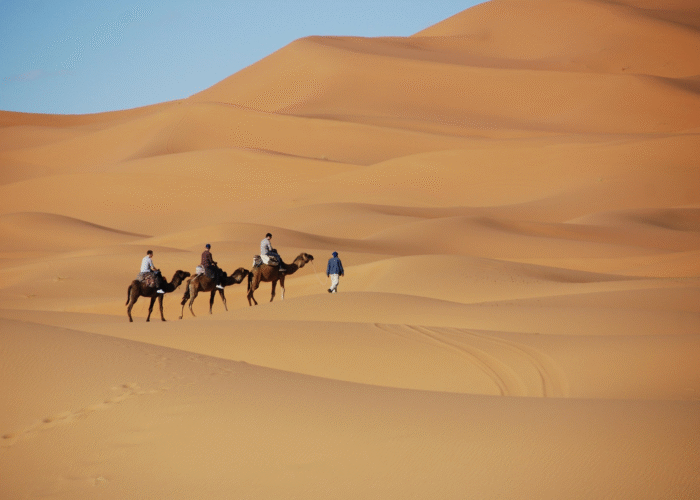 10 Days Morocco Desert Tour from Marrakech
