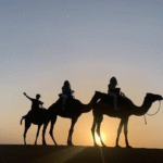 gallery camel ride