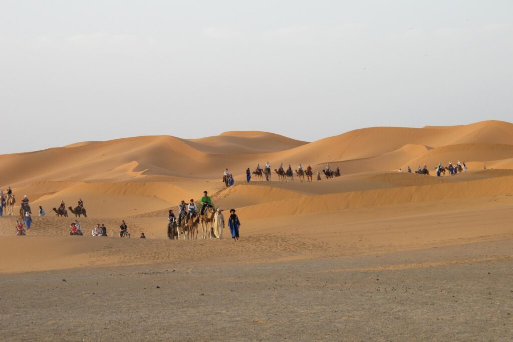 Overnight with camel trek