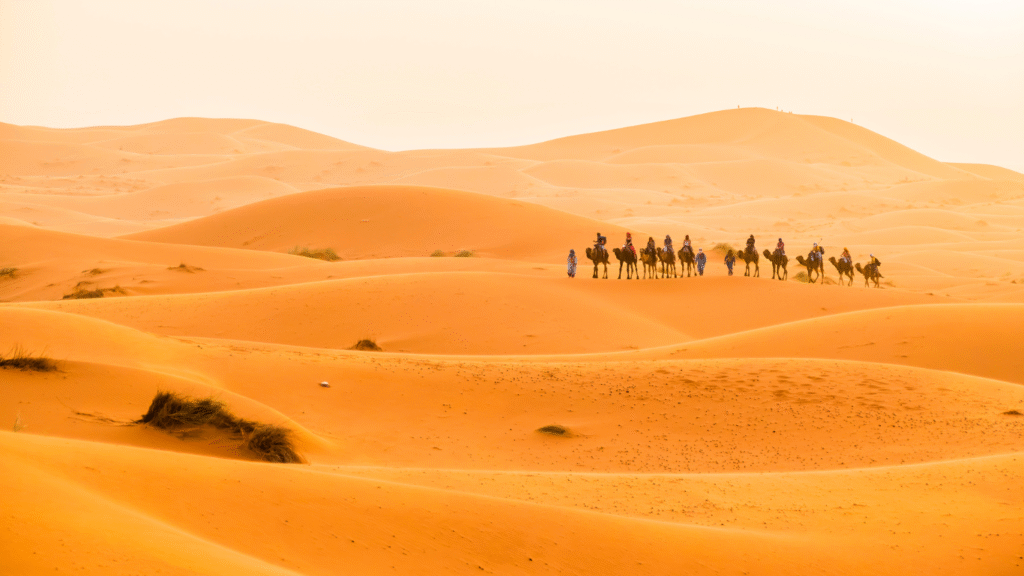 15 Days Grand Morocco Tour from Tangier