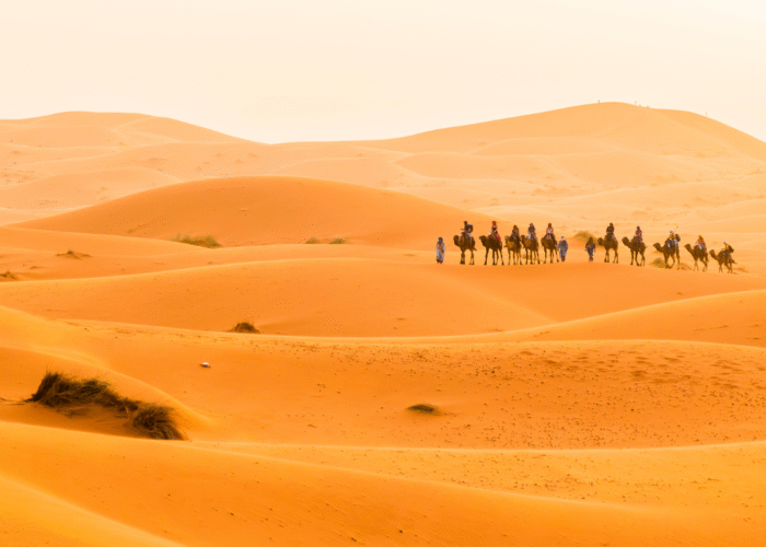 15 Days Grand Morocco Tour from Tangier