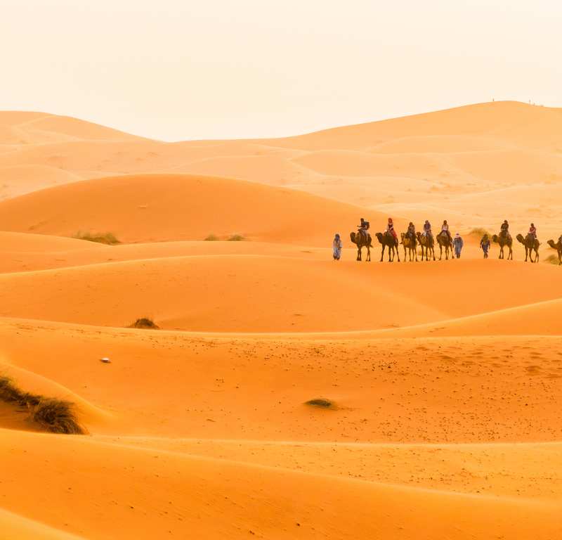 15 Days Grand Morocco Tour from Tangier